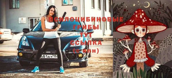 крисы Аркадак