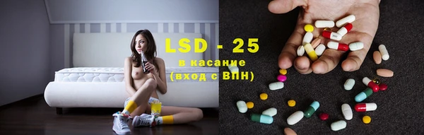 крисы Аркадак