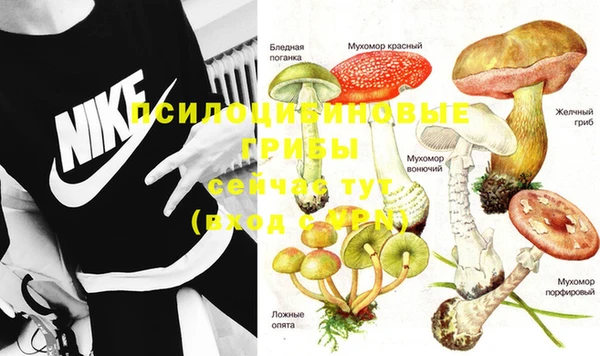 кокаин перу Арсеньев