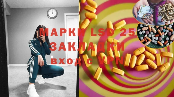 крисы Аркадак